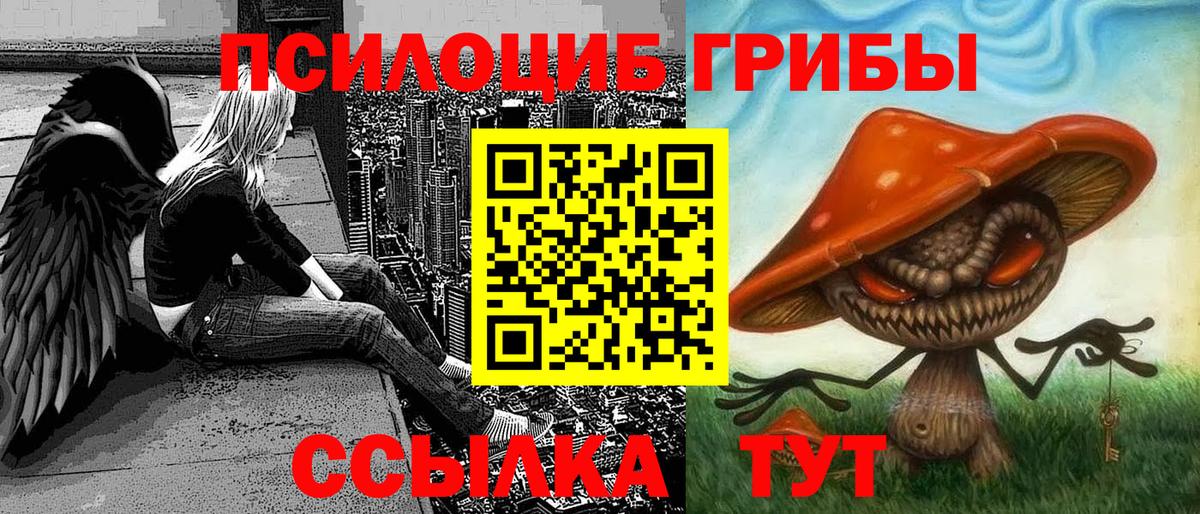 Тосно  Псилоцибиновые грибы GOLDEN TEACHER  цена наркотик  Вход с VPN 