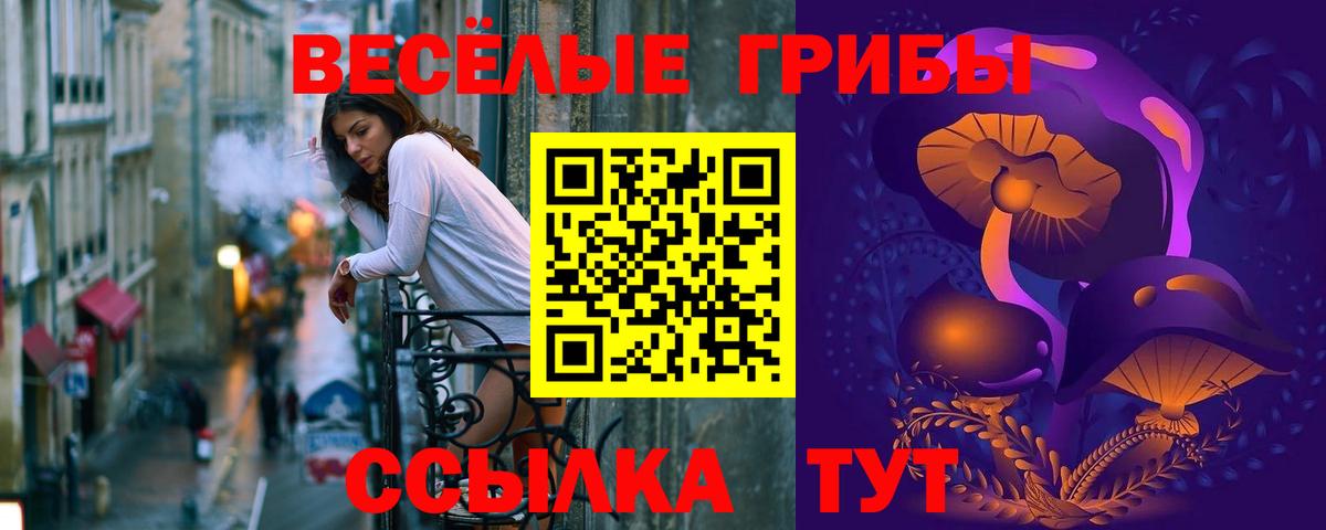 Псилоцибиновые грибы Psilocybine cubensis Тосно